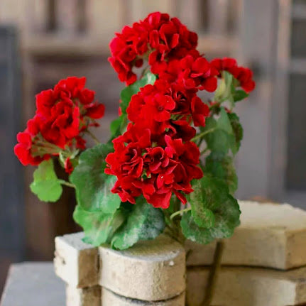 All Summer - Marmalade Mercantile