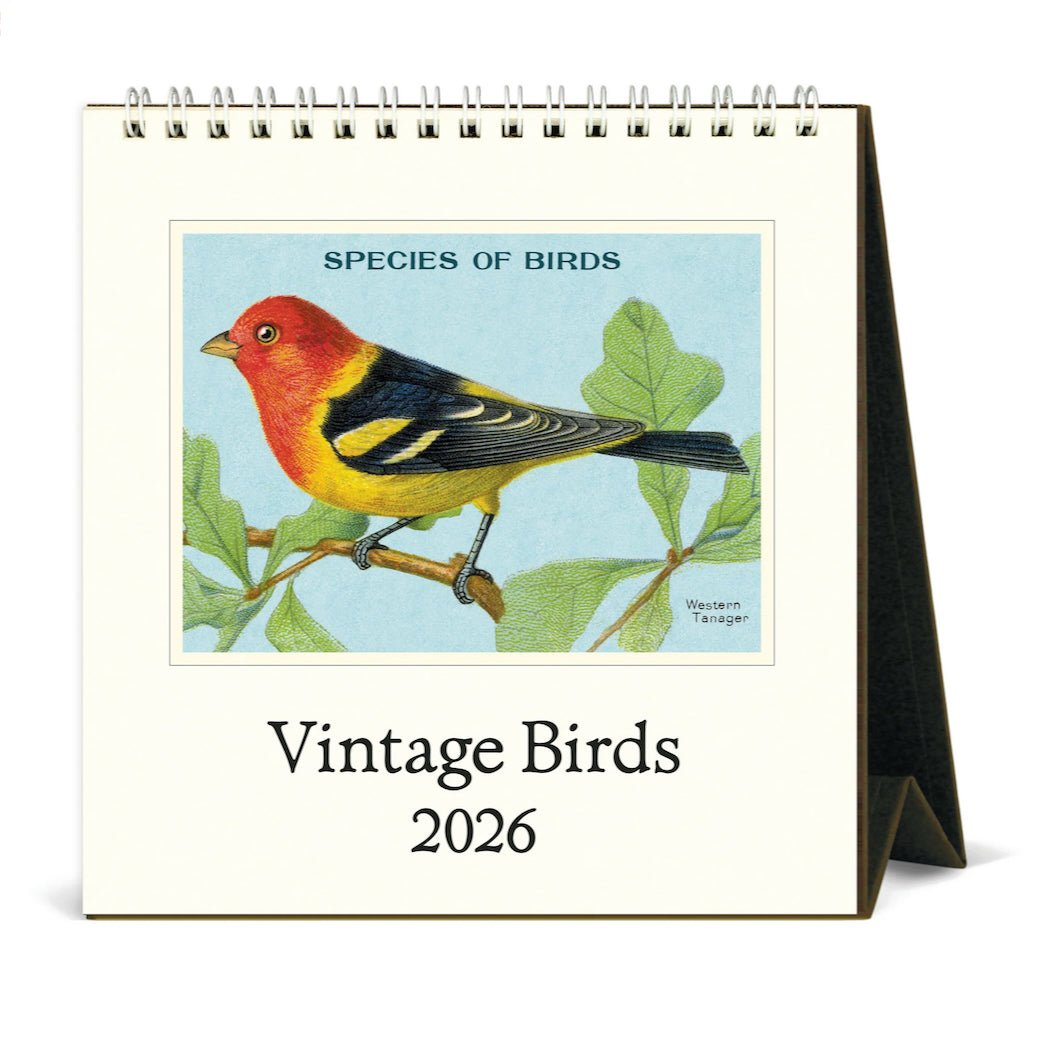 2026 Vintage Birds Desk Calendar - Marmalade Mercantile