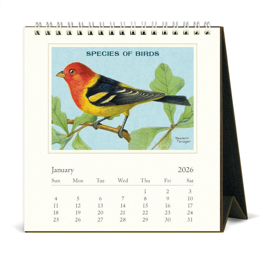2026 Vintage Birds Desk Calendar - Marmalade Mercantile
