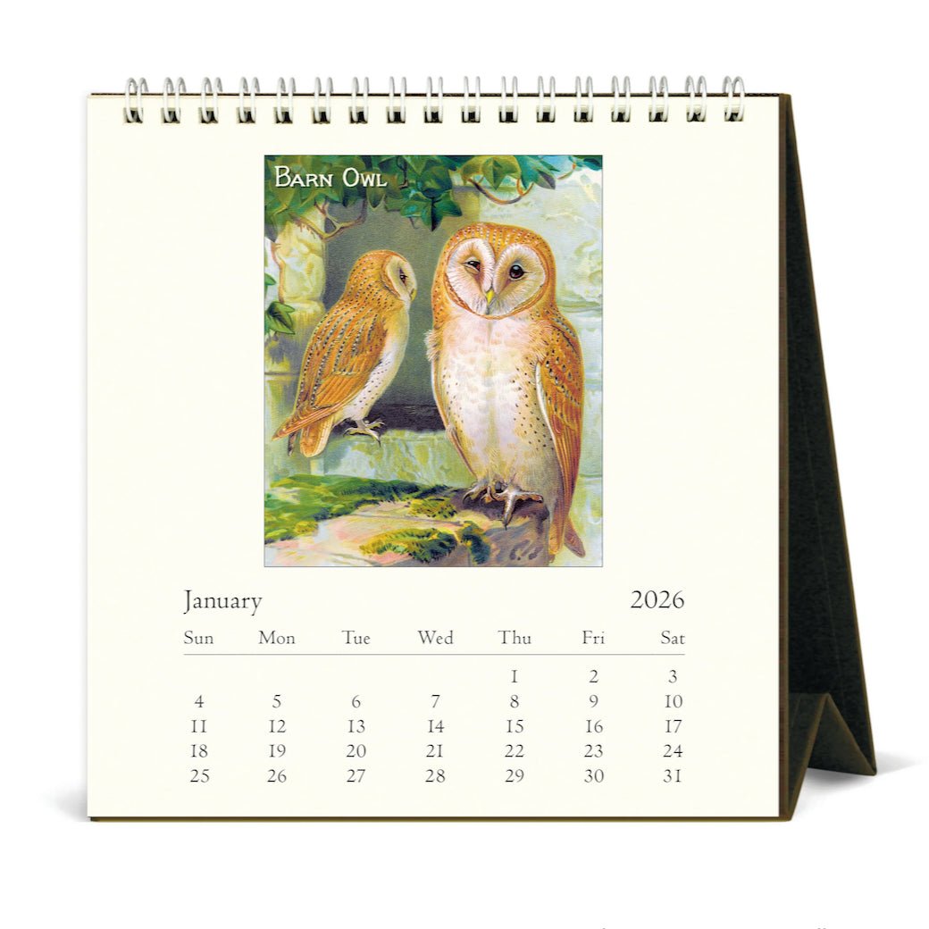 2026 Vintage Owls Desk Calendar - Marmalade Mercantile