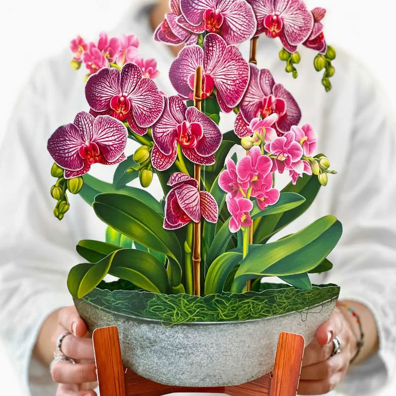 3-D Life-Sized Pop Up Greeting Card Orchid Oasis - Marmalade Mercantile