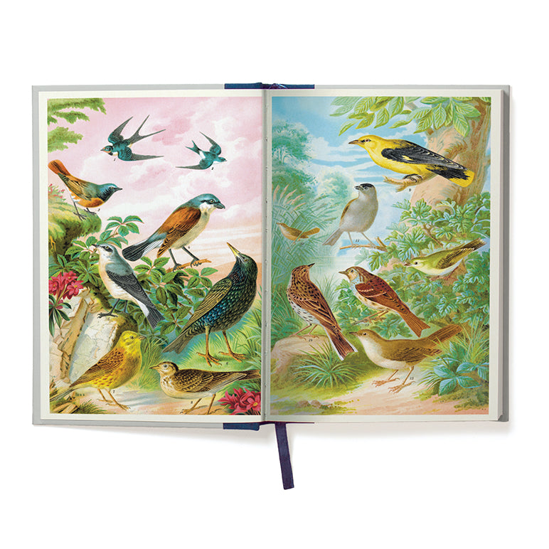 Birdwatching Window Journal
