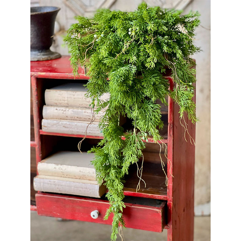 Dripping Cedar Hanging Floral Accent