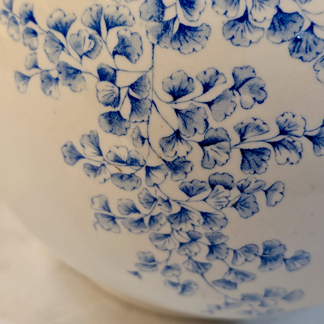 Large Antique English Ridgeways Blue Transfer Pitcher Maiden Hair Fern Pattern