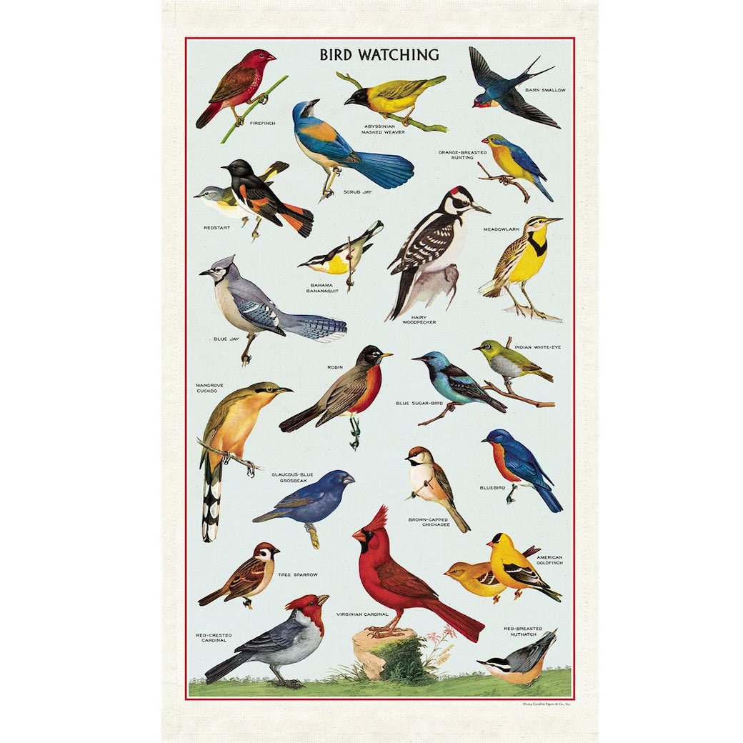 Birdwatching 100% Cotton Tea Towel - Marmalade Mercantile