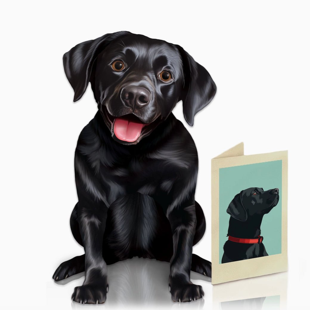 Black Lab Pop Up Greeting Card with Dress Up Kit - Marmalade Mercantile