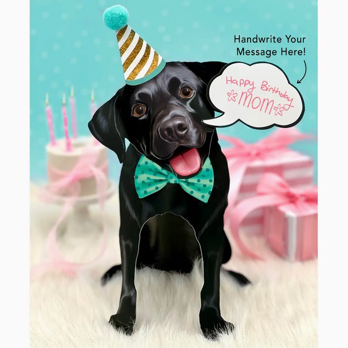 Black Lab Pop Up Greeting Card with Dress Up Kit - Marmalade Mercantile