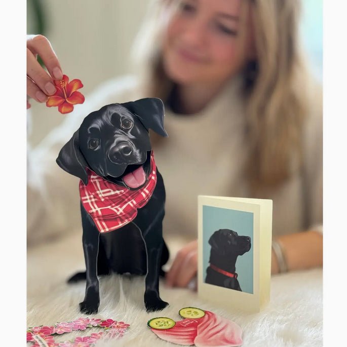 Black Lab Pop Up Greeting Card with Dress Up Kit - Marmalade Mercantile