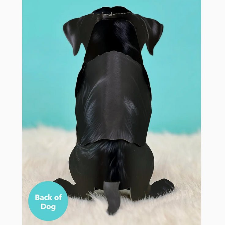 Black Lab Pop Up Greeting Card with Dress Up Kit - Marmalade Mercantile