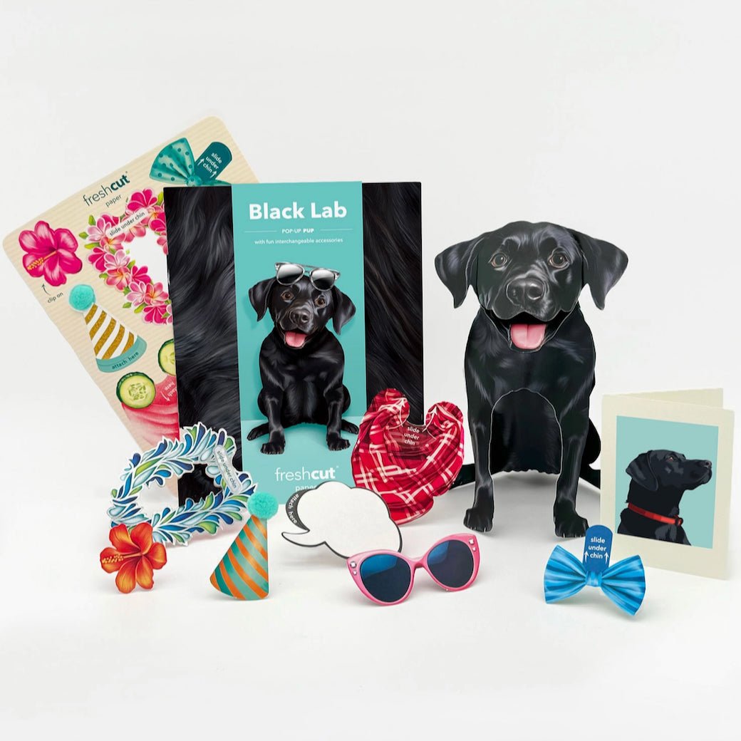 Black Lab Pop Up Greeting Card with Dress Up Kit - Marmalade Mercantile