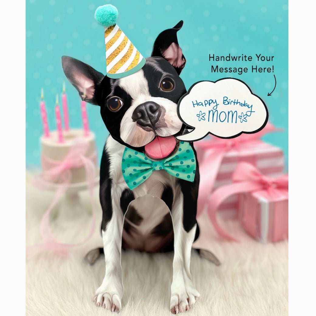 Boston Terrier Pop Up Pup Greeting Card w Dress Up Kit - Marmalade Mercantile