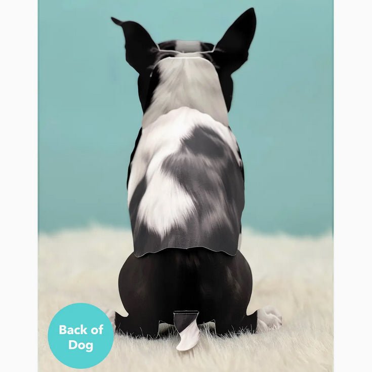 Boston Terrier Pop Up Pup Greeting Card w Dress Up Kit - Marmalade Mercantile