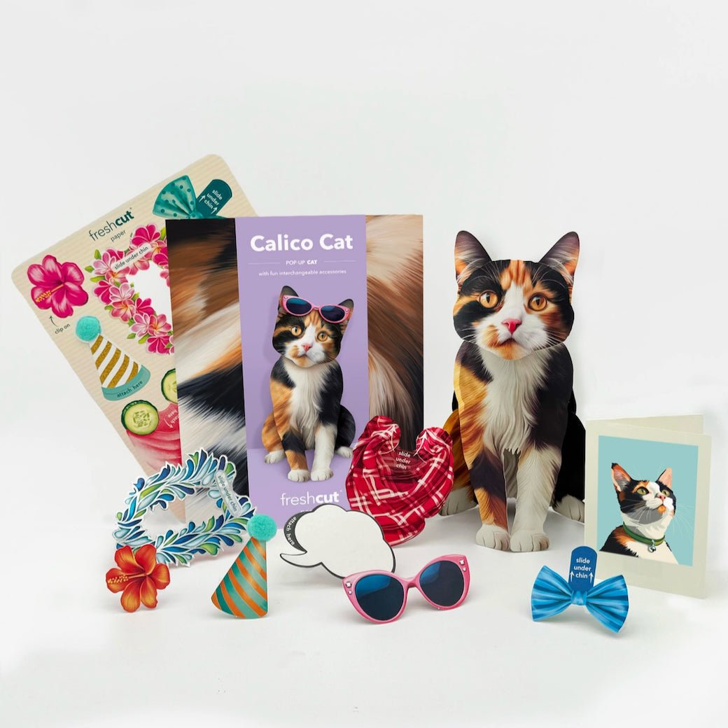 Calico Kitty Pop Up Greeting Card with Dress Up Accessories - Marmalade Mercantile