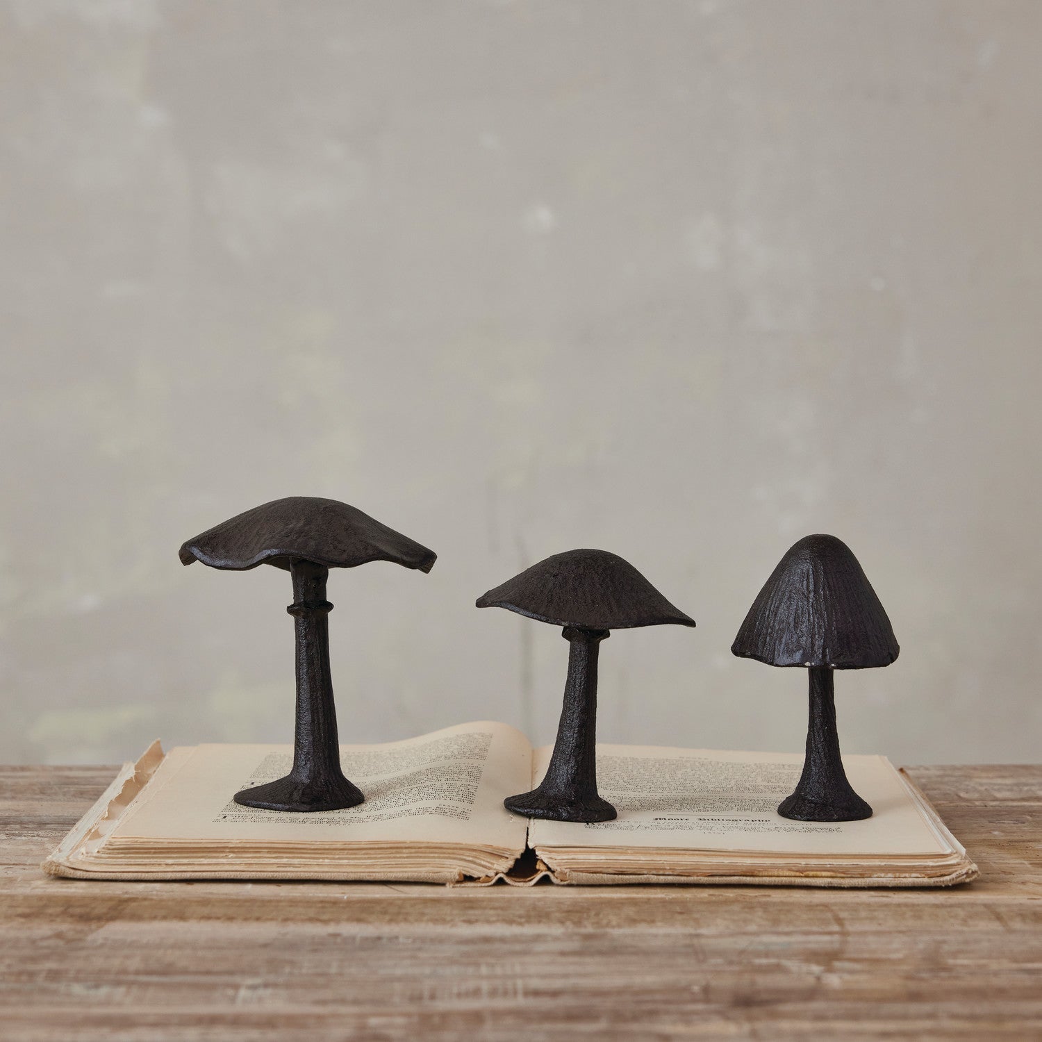 Cast Iron Woodland Mushroom Figure CHOICE of Size/Style - Marmalade Mercantile