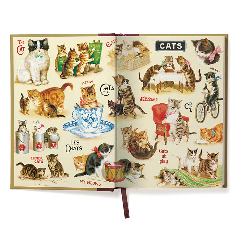 Cats & Kittens Window Journal - Marmalade Mercantile