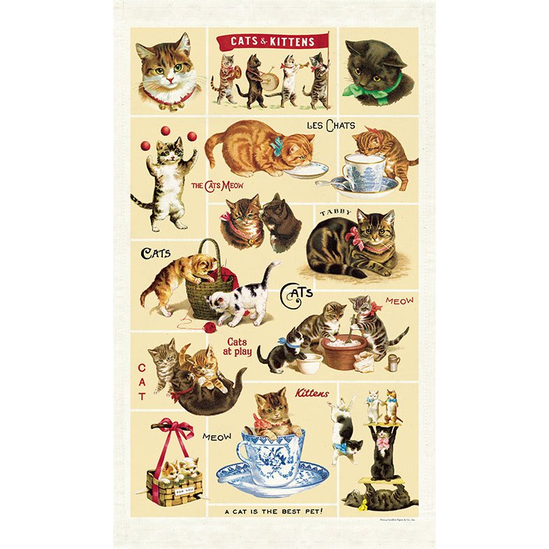 Colorful Cats & Kittens Cotton Kitchen Towel - Marmalade Mercantile