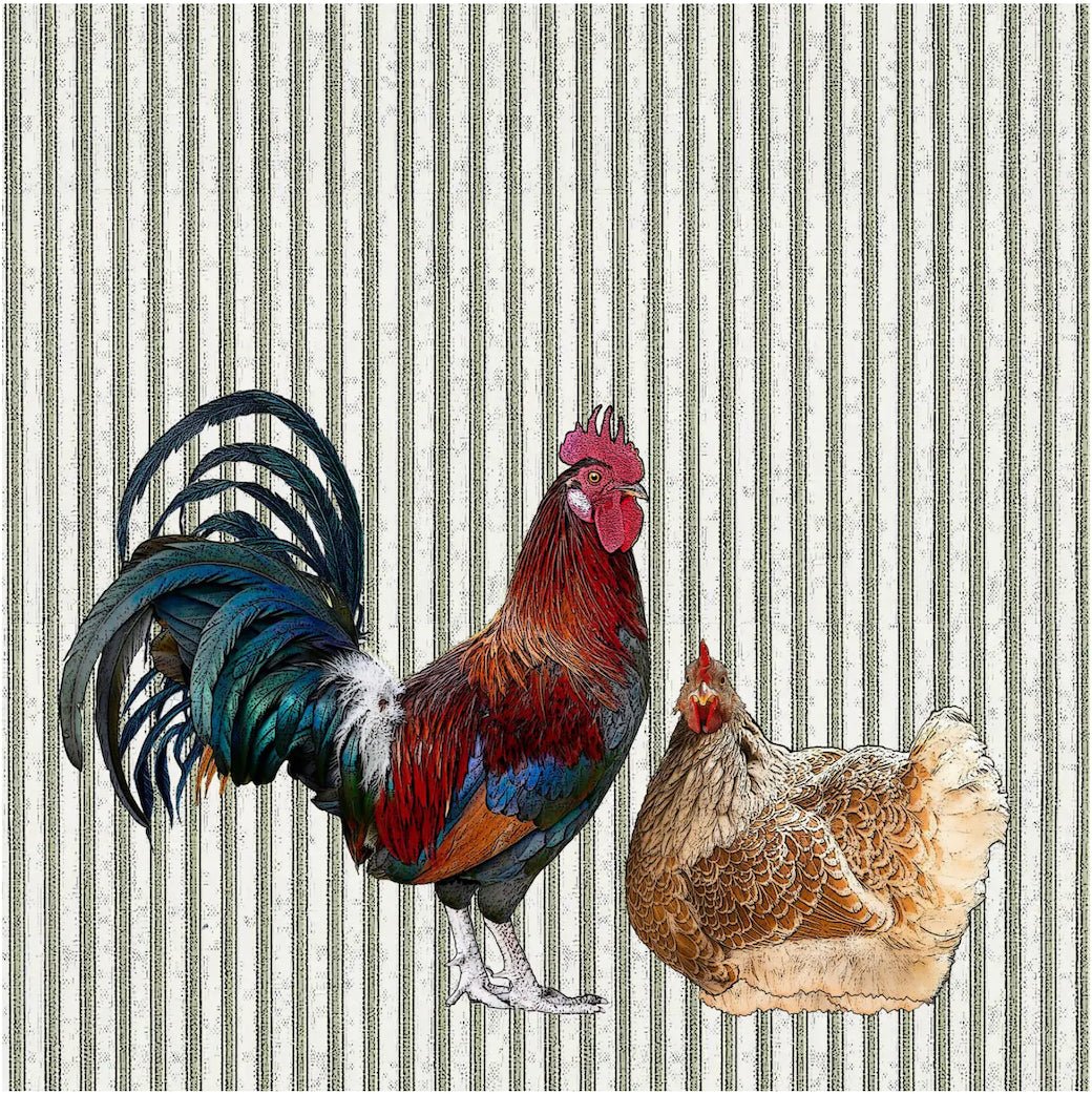 Colorful Hen & Rooster Flour Sack Towel w Ticking Stripe - Marmalade Mercantile