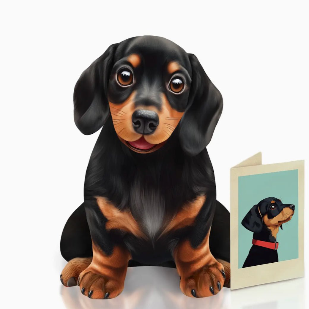 Dachshund Pop Up Pup Greeting Card w Dress Up Kit - Marmalade Mercantile