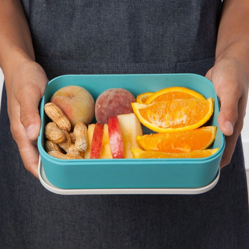 Dandy Dinos Bento Box Lunchbox - Marmalade Mercantile