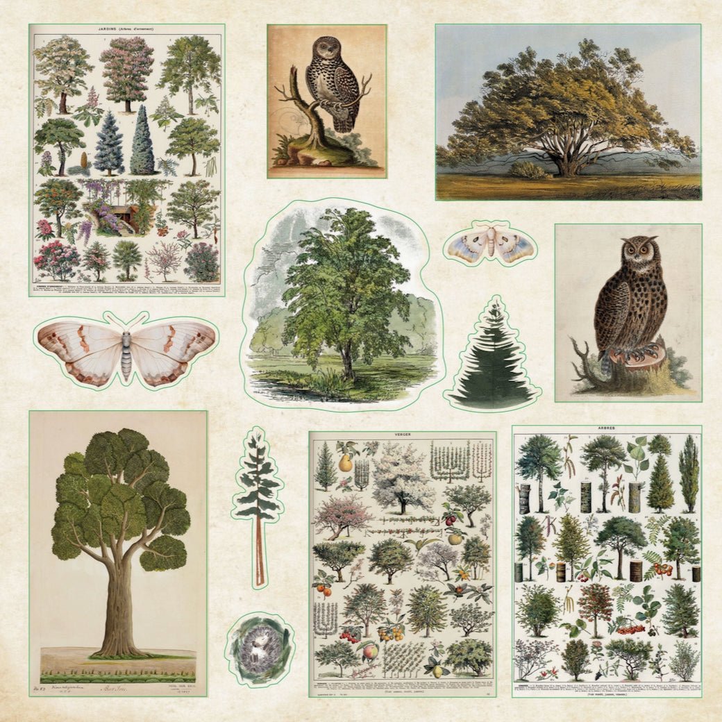 Enchanted Forest Sticker Book A Wondrous Collection of Woodland Stickers - Marmalade Mercantile