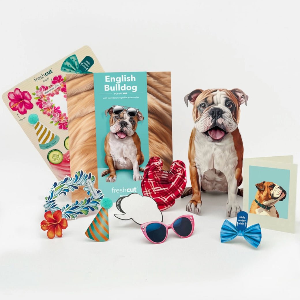 English Bull Dog Pop Up Greeting Card with Dress Up Accessories - Marmalade Mercantile