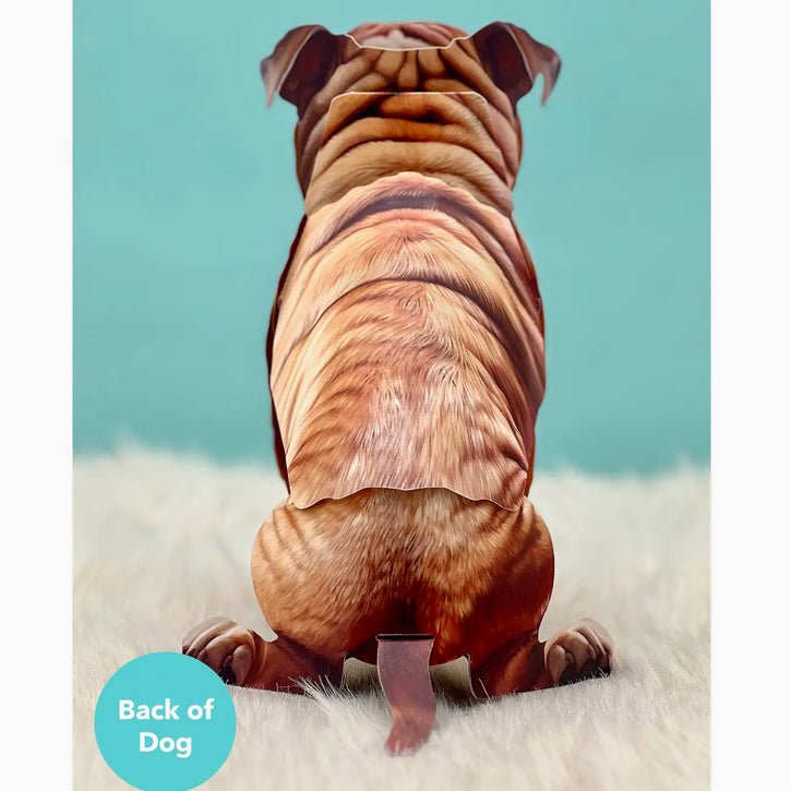 English Bull Dog Pop Up Greeting Card with Dress Up Accessories - Marmalade Mercantile