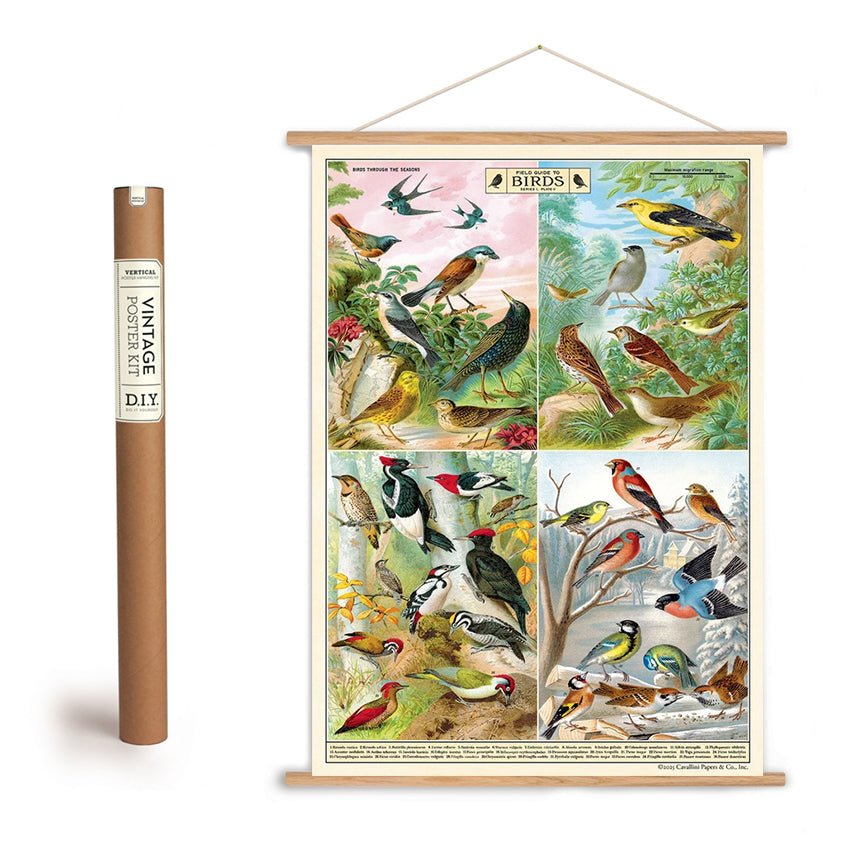 Field Guide to Birds Through the Seasons Art Poster + Hanging Kit - Marmalade Mercantile