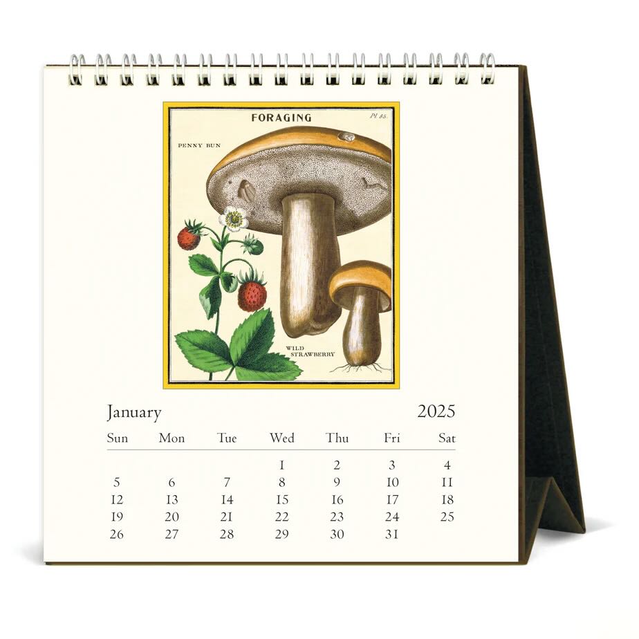 Foraging 2025 Desk Calendar - Marmalade Mercantile