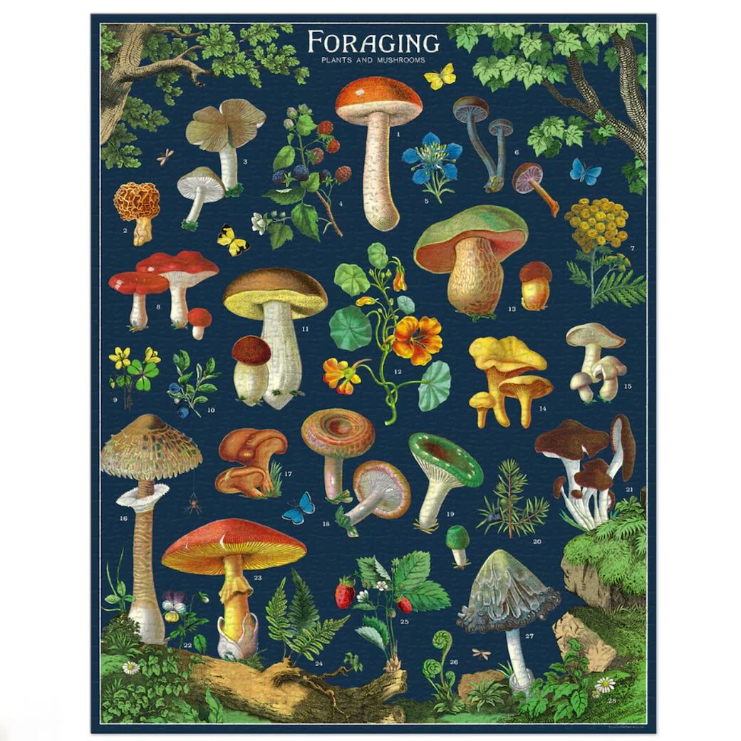 Foraging Plants and Mushrooms 1000 - Piece Jigsaw Puzzle - Marmalade Mercantile