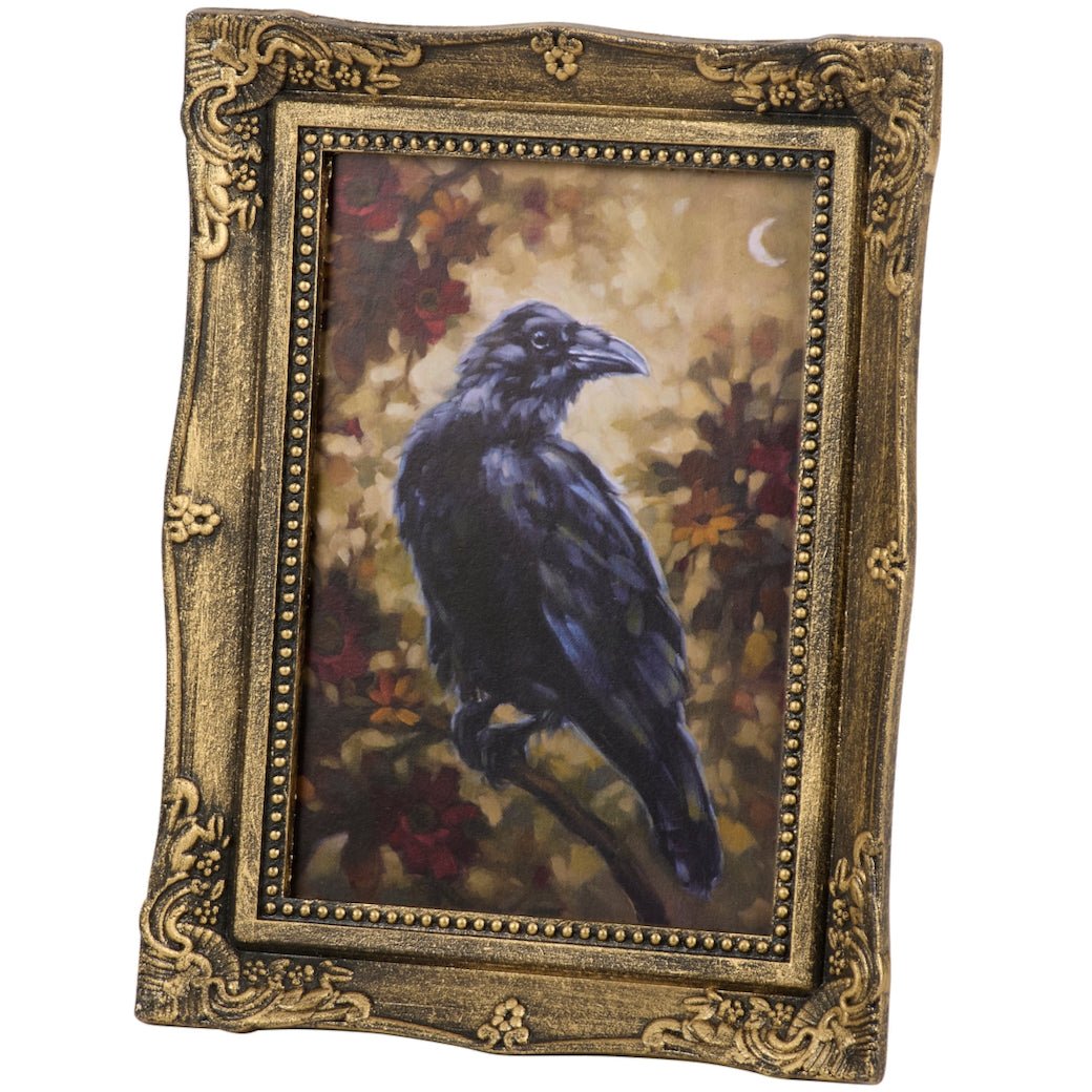 Framed Night Raven Print - Marmalade Mercantile
