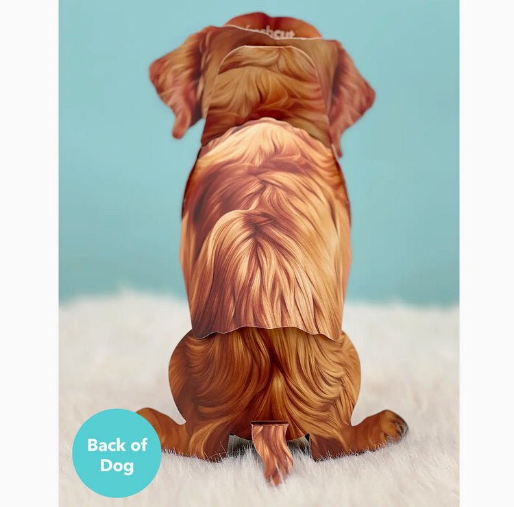 Golden Retriever Pop Up Greeting Card with Dress Up Kit - Marmalade Mercantile