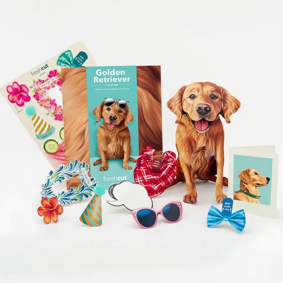 Golden Retriever Pop Up Greeting Card with Dress Up Kit - Marmalade Mercantile