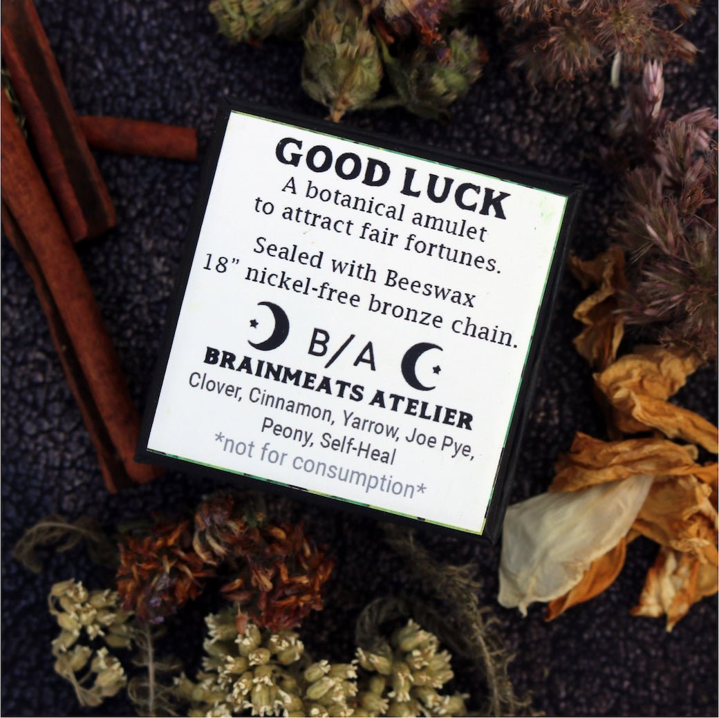 Good Luck Amulet - Fortune & Joy Talisman Necklace w Clover - Marmalade Mercantile