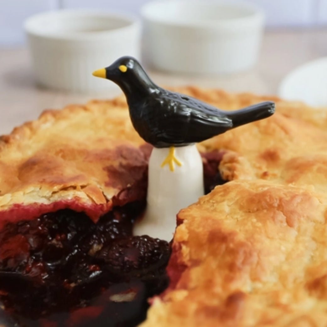 Hand - Painted Blackbird Pie Vent Ceramic Porcelain - Marmalade Mercantile
