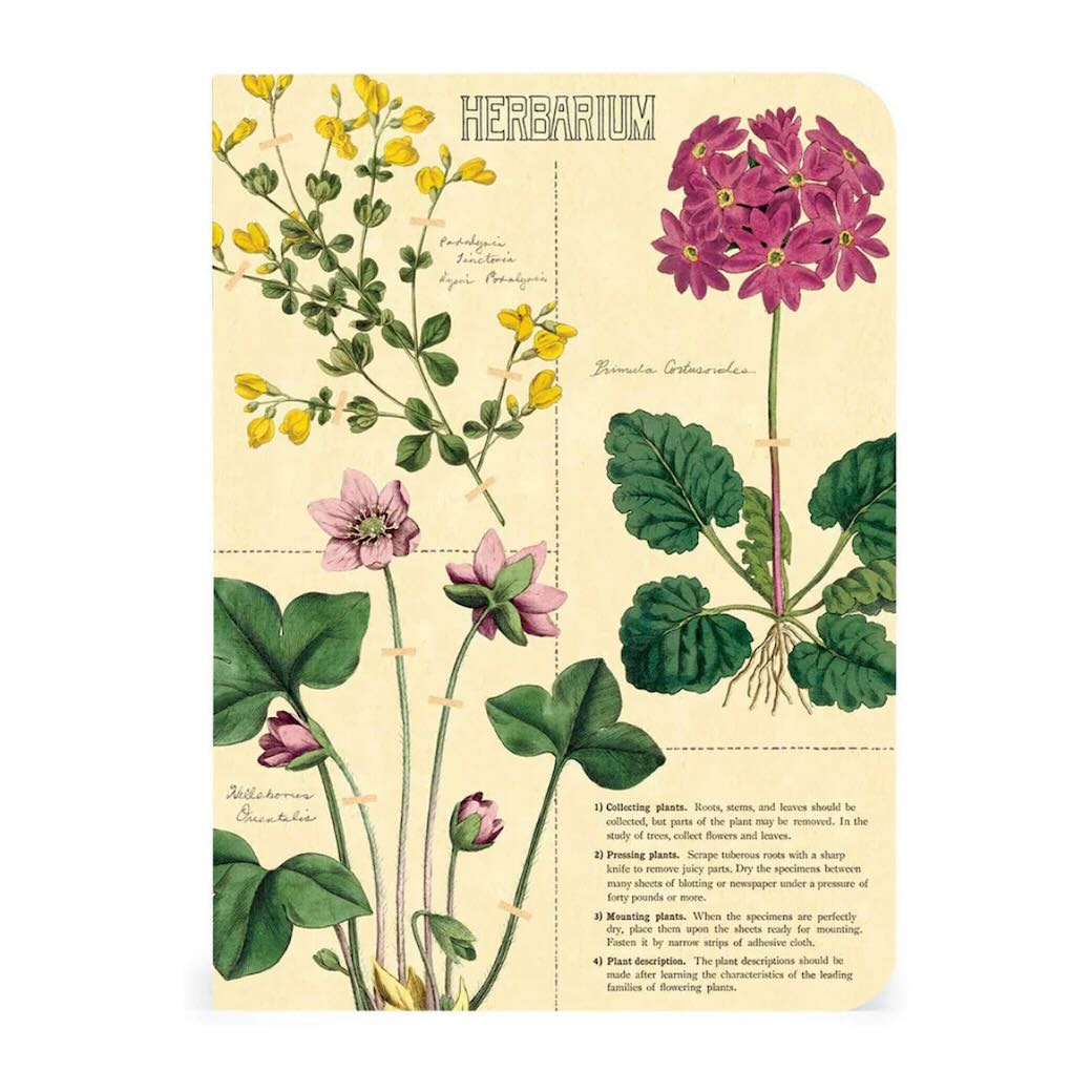 Herbarium Mini Pocket Notebooks Set of 3 - Marmalade Mercantile