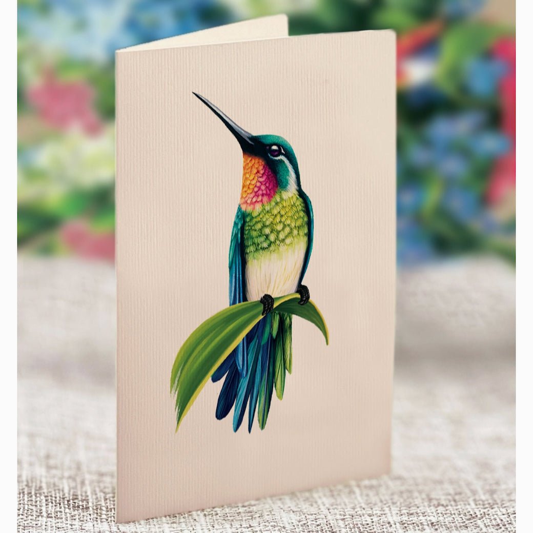 Hummingbird Oasis Pop Up Greeting Card - Marmalade Mercantile