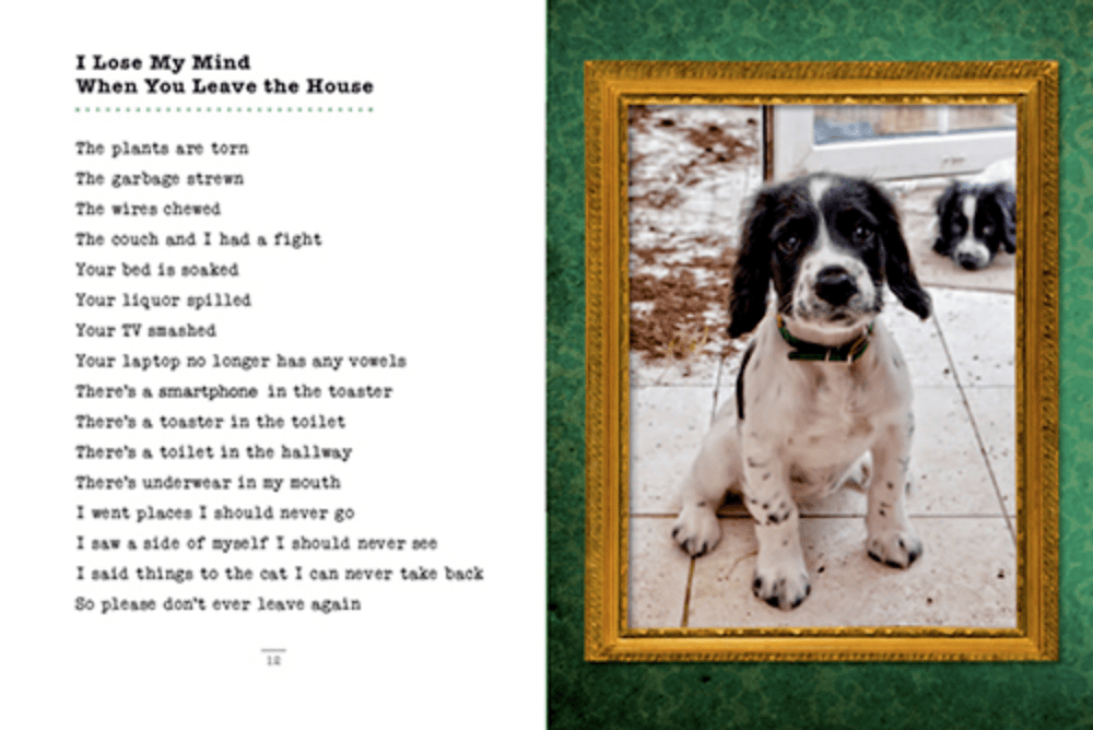 I Could Chew on This and Other Poems by Dogs by Francesco Marcuiliano - Marmalade Mercantile