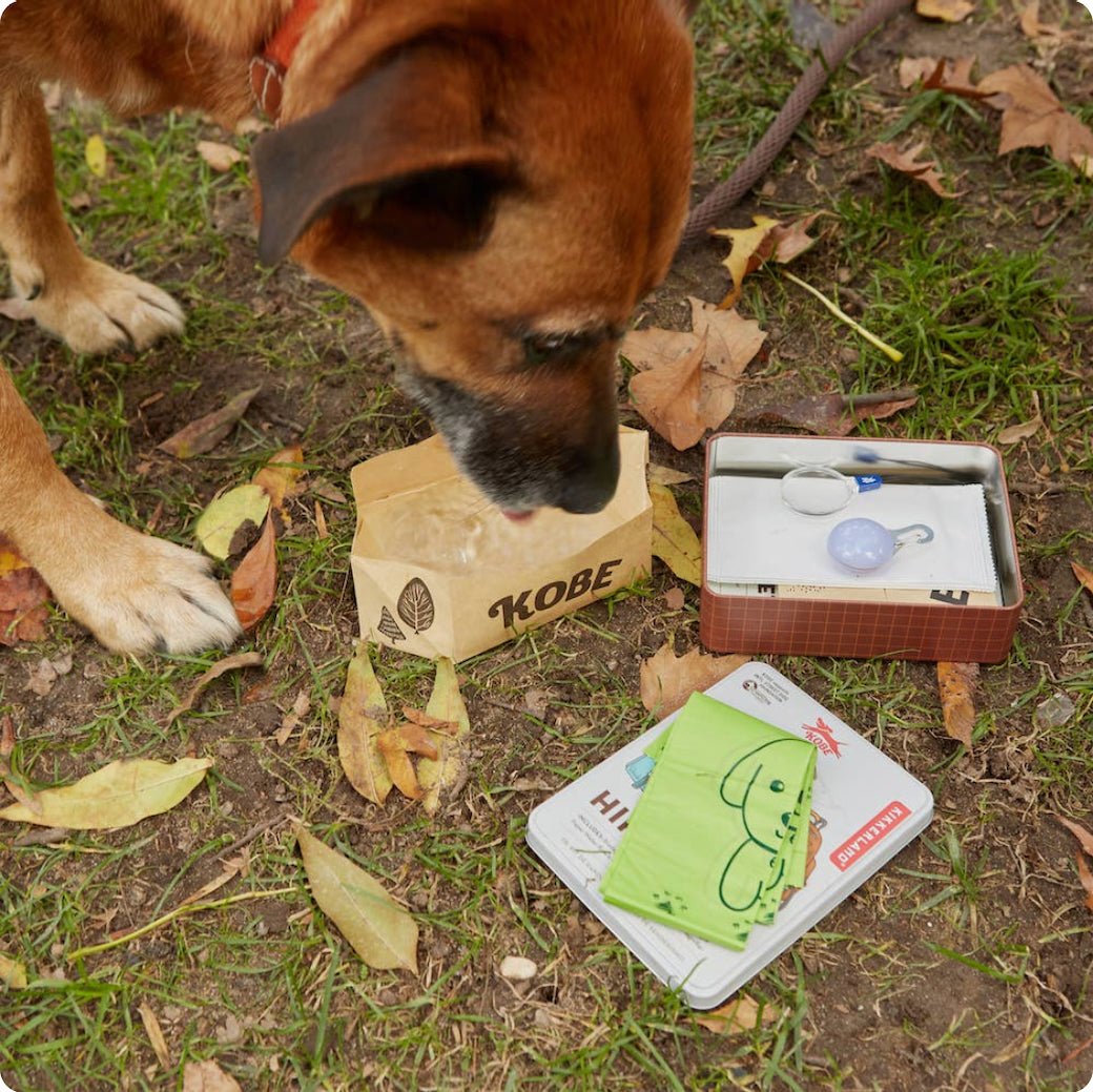 Kobe Hiking Kit for Dogs - Marmalade Mercantile