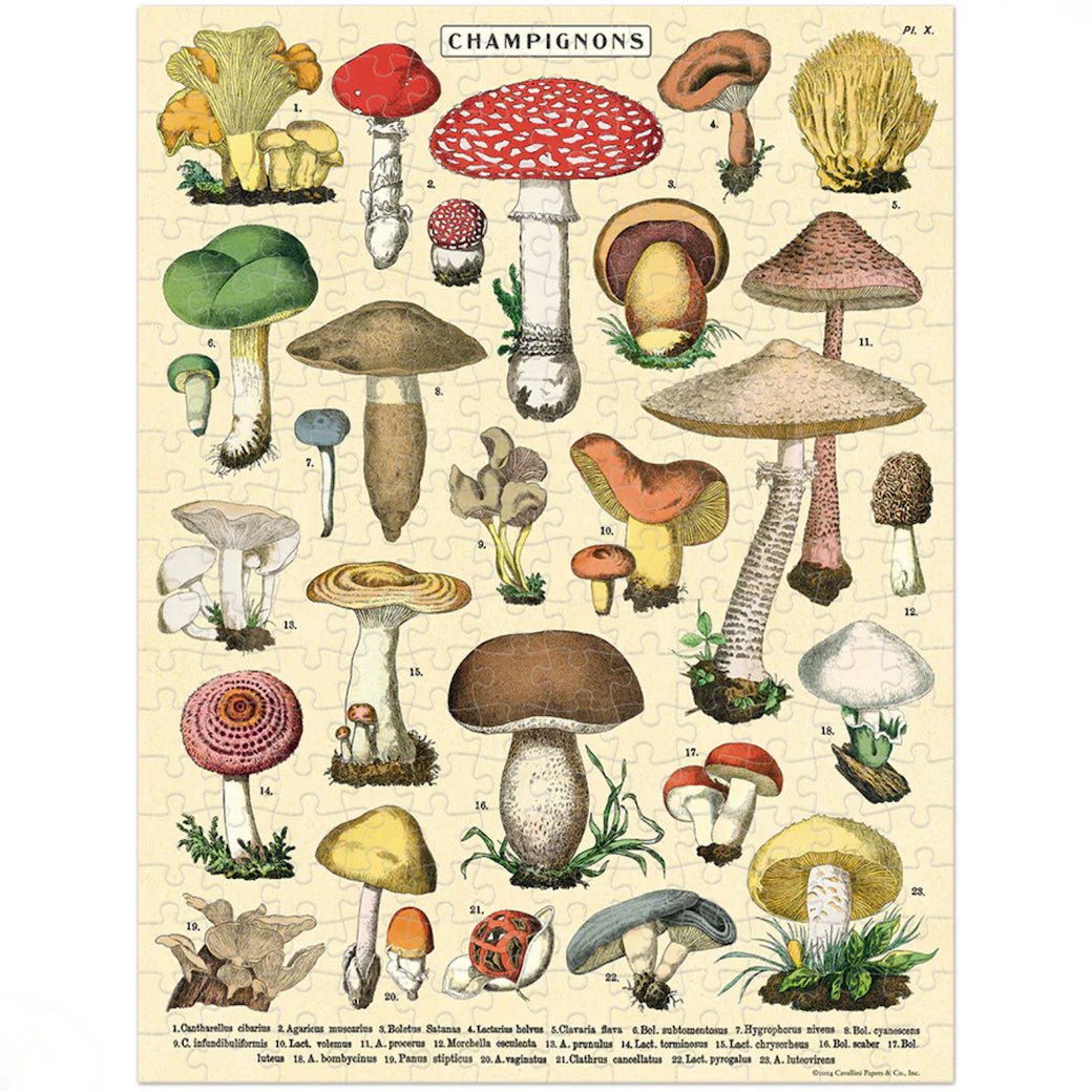 Mushrooms Champignons Mini 240 - Piece Jigsaw Puzzle - Marmalade Mercantile