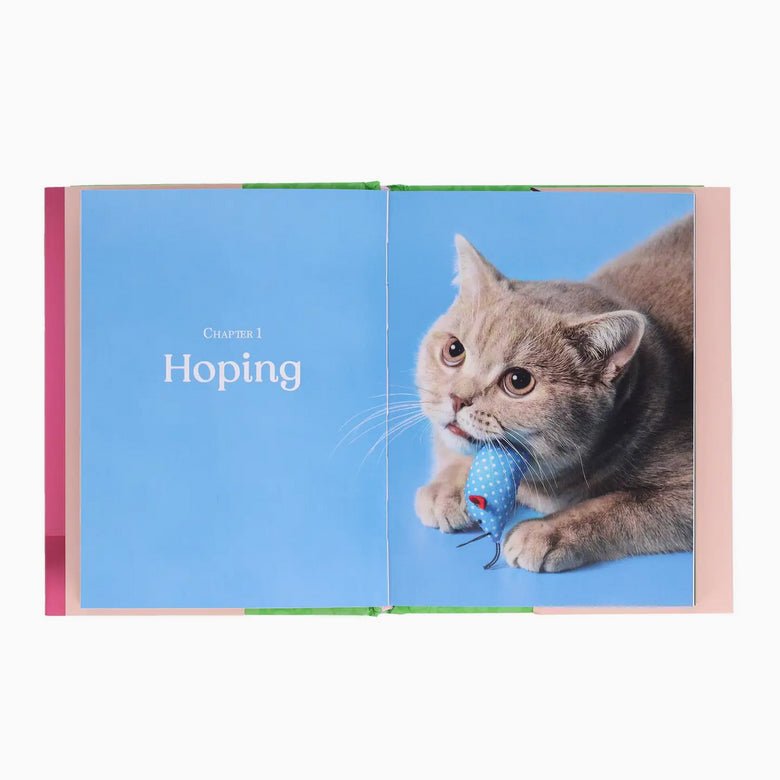Oh It’s You - Love Poems From Your Cat - Marmalade Mercantile