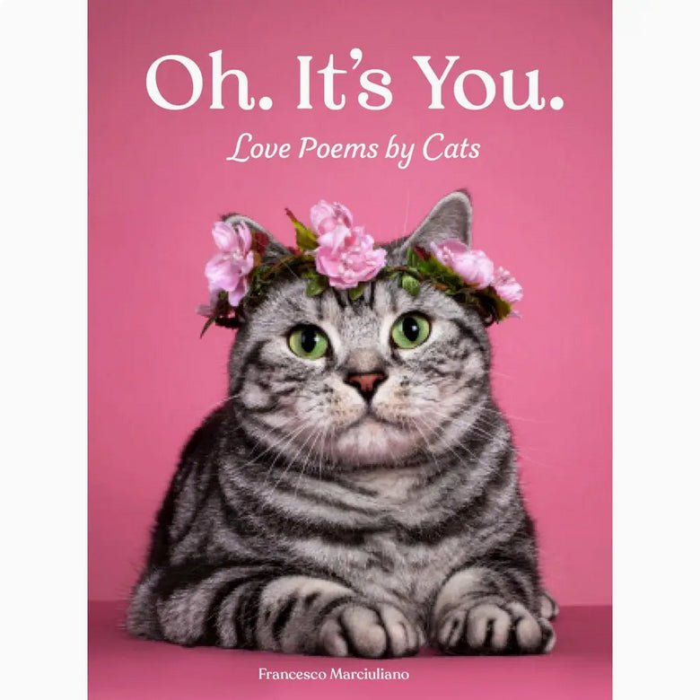Oh It’s You - Love Poems From Your Cat - Marmalade Mercantile