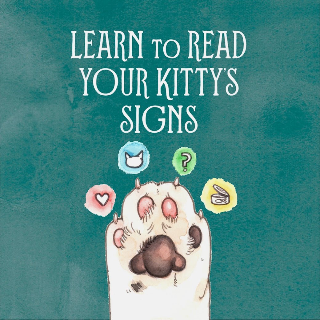 Pawmistry, Unlocking the Secrets of the Univerise with Cats by Megan Lynn Kott - Marmalade Mercantile