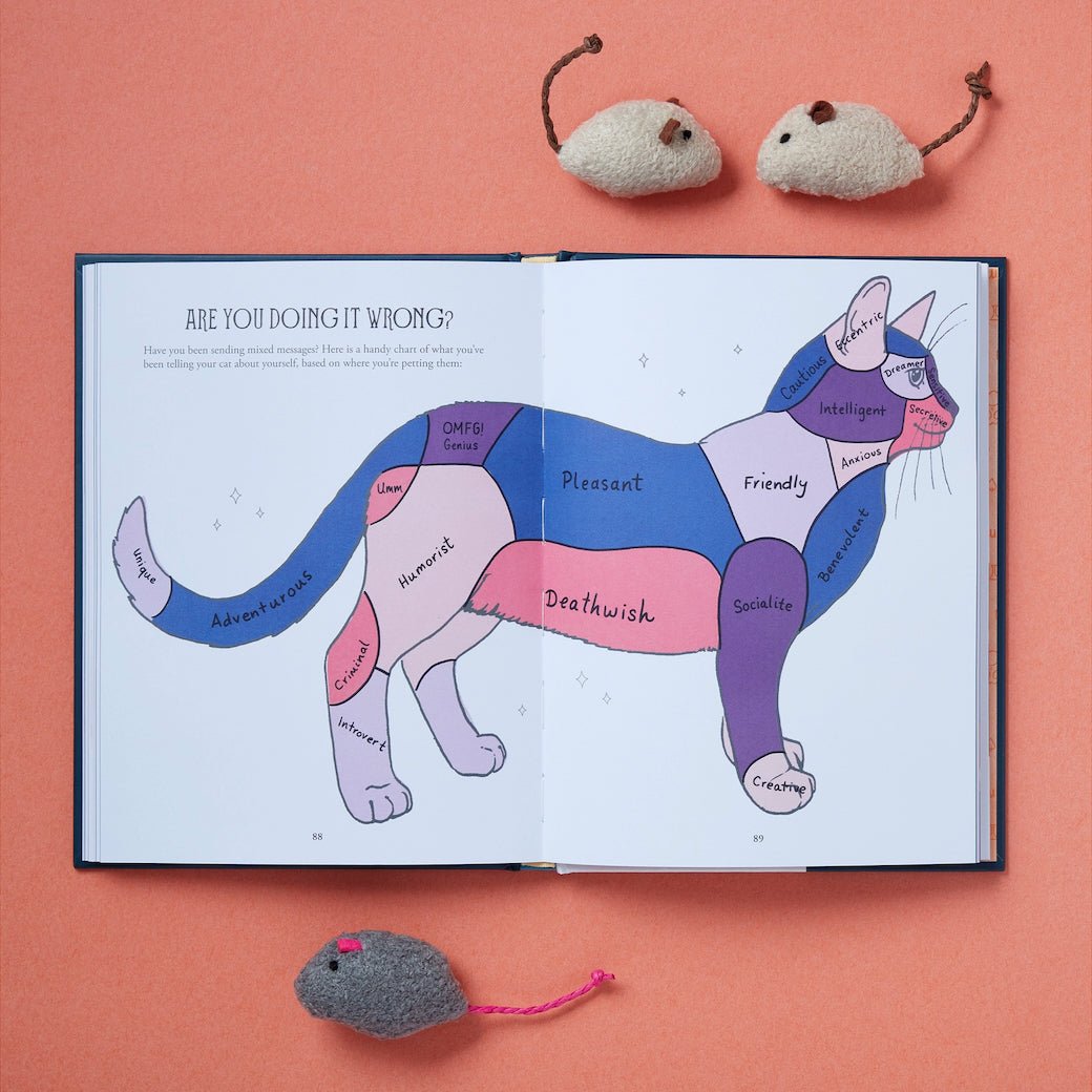 Pawmistry, Unlocking the Secrets of the Univerise with Cats by Megan Lynn Kott - Marmalade Mercantile