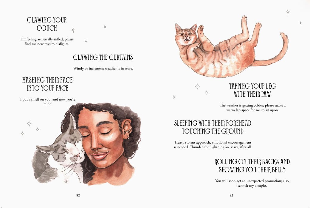 Pawmistry, Unlocking the Secrets of the Univerise with Cats by Megan Lynn Kott - Marmalade Mercantile