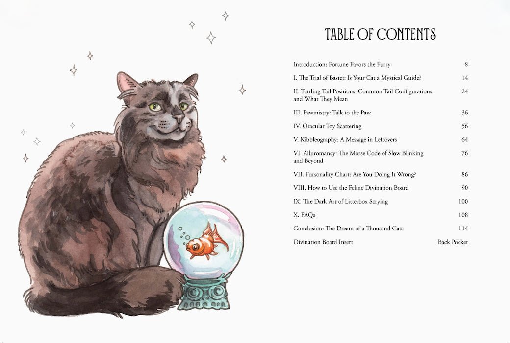 Pawmistry, Unlocking the Secrets of the Univerise with Cats by Megan Lynn Kott - Marmalade Mercantile