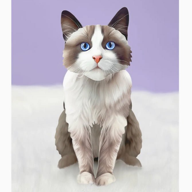 Ragdoll Cat Pop Up Greeting Card with Dress Up Kit - Marmalade Mercantile