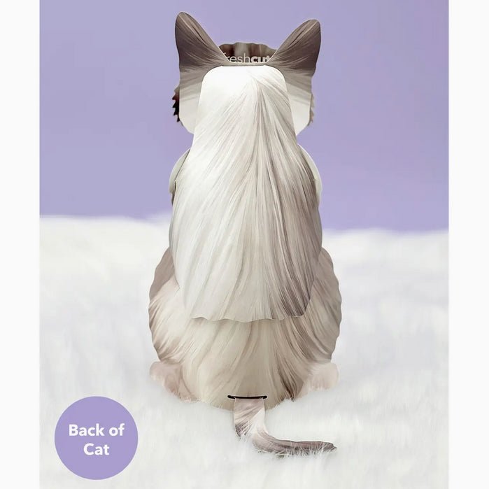 Ragdoll Cat Pop Up Greeting Card with Dress Up Kit - Marmalade Mercantile
