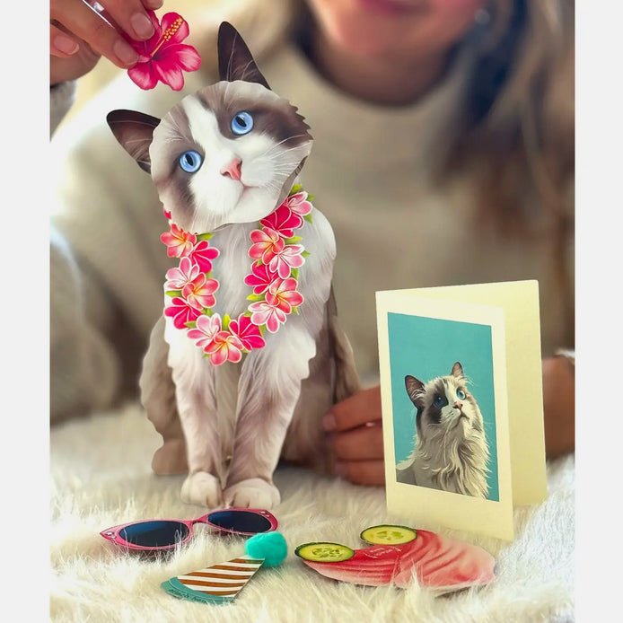 Ragdoll Cat Pop Up Greeting Card with Dress Up Kit - Marmalade Mercantile