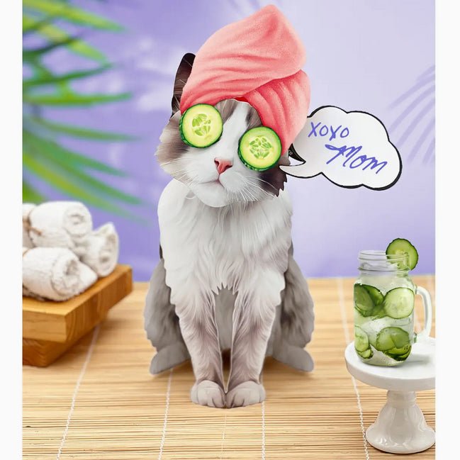 Ragdoll Cat Pop Up Greeting Card with Dress Up Kit - Marmalade Mercantile