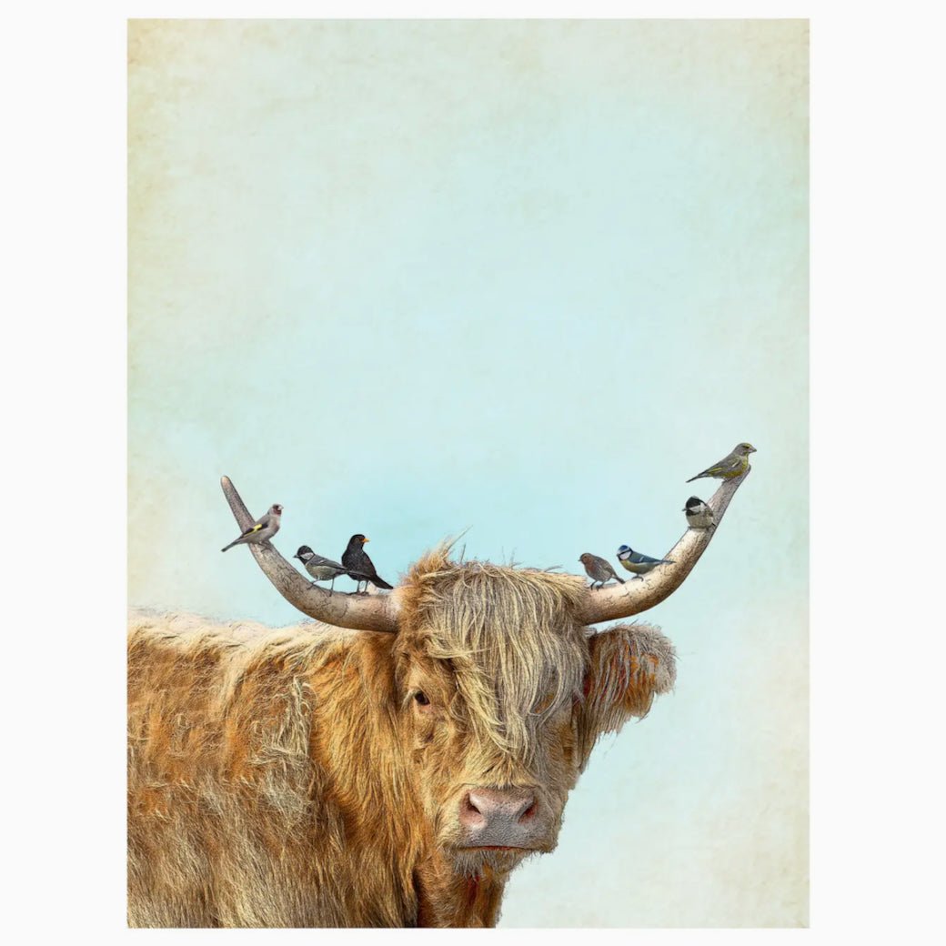Scottish Highland Cow with Birds Flour Sack Tea Towel - Marmalade Mercantile